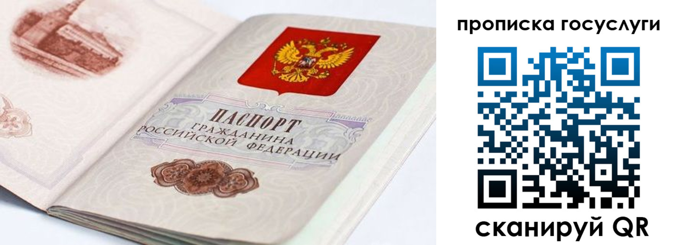 прописка гарантия в Омской области